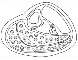 [2025 최신 연구] 만성피로는 정신병이 아닙니다: 네이처(Nature)가 밝힌 세포의 비밀
