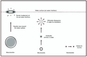 탈모 샴푸 효과 없다? 계면활성제의 독성과 ‘나노버블 수소수’ 두피관리의 과학