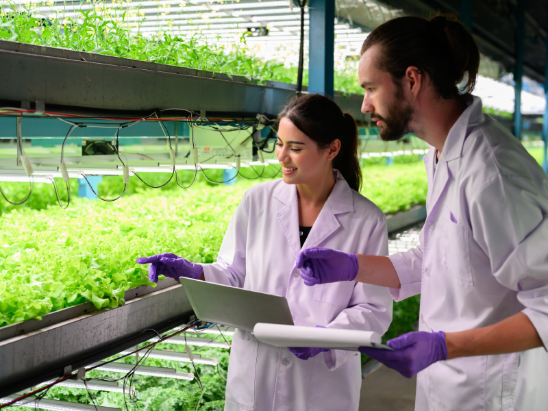 Smart Farm Crop Cultivation