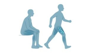 Traditional Role of Exercise in Myokine Activation