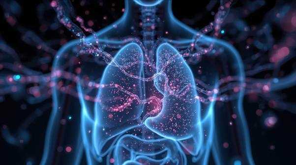 Microplastics in the human body affecting internal organs