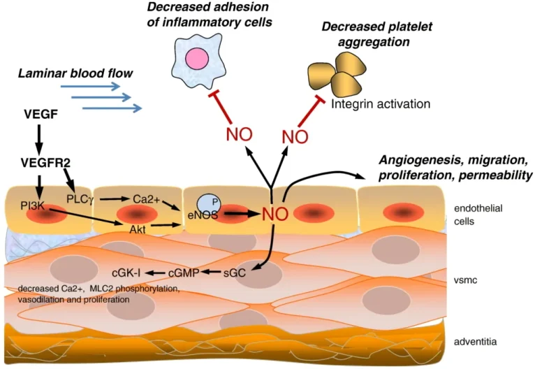 7-2-after-1024x705[1]